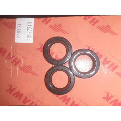 260803 Hawk Oil Seal Kit 1.099-751.0