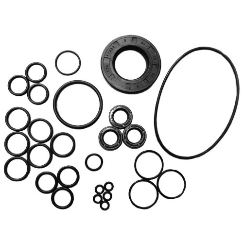 OIL SEAL KIT [ LW HOLLOW SHAFT]