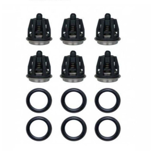 TW PUMP VALVE KIT